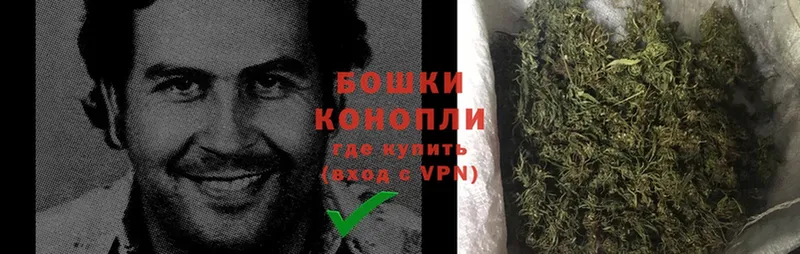 купить  цена  Ак-Довурак  Бошки Шишки White Widow 